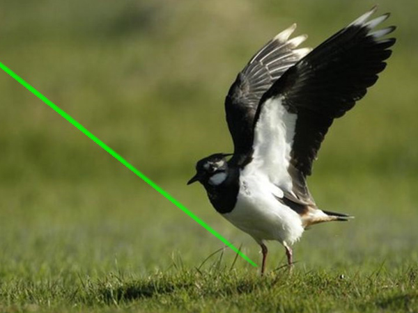 Effaroucheur d’oiseaux au laser pour vergers fruitiers,effaroucheur d’oiseaux au laser, verger-Société de technologie de dissuasion laser